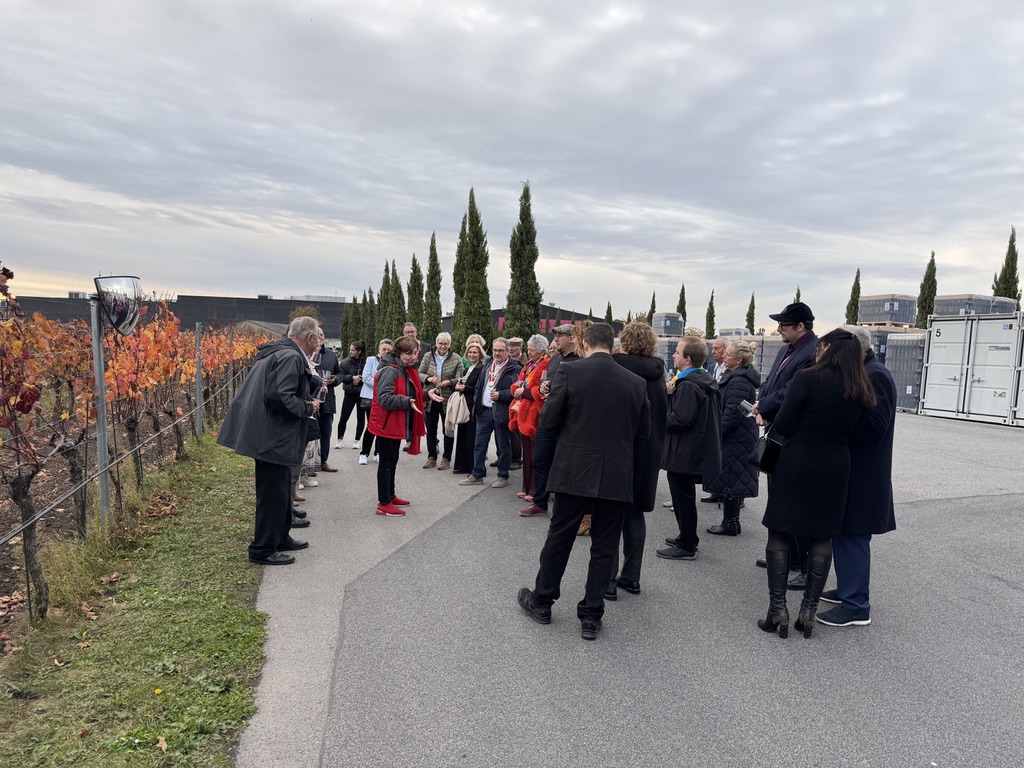 09CBCAAE 3103 4DA3 801D 7D627C4C505C 1 105 C