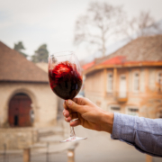 "Best of Chile-Wein"